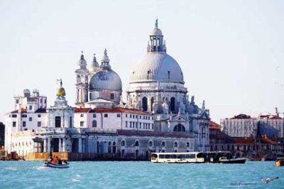 Venice: The Celebrated Icons