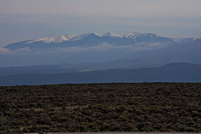 Across-the-Sagebrush, near Taos
