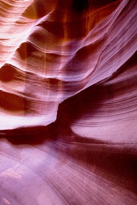 Antelope-Undulations