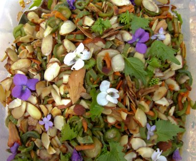 Brandt's Jap. knotweed- garlic weed- chicken mushroom- almond  violet sesame salad8355.jpg