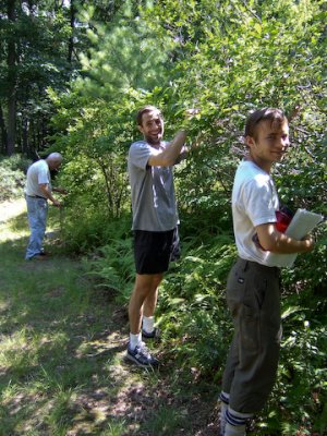 Roger, Damon and Zaac pick blueberries.8674.jpg