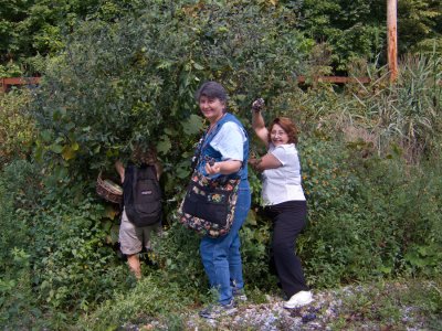 The Girls (JJ, Kathy & Anne) are Foraging for Wild Grapes0532.jpg