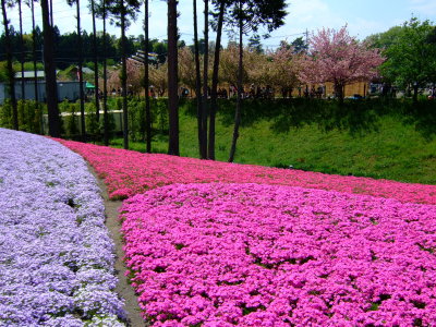 2007May3 020.jpg