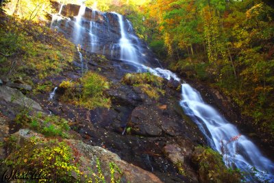 Amicalola 2006