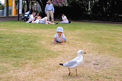 Child and seagull. Brisbane Southbank Park