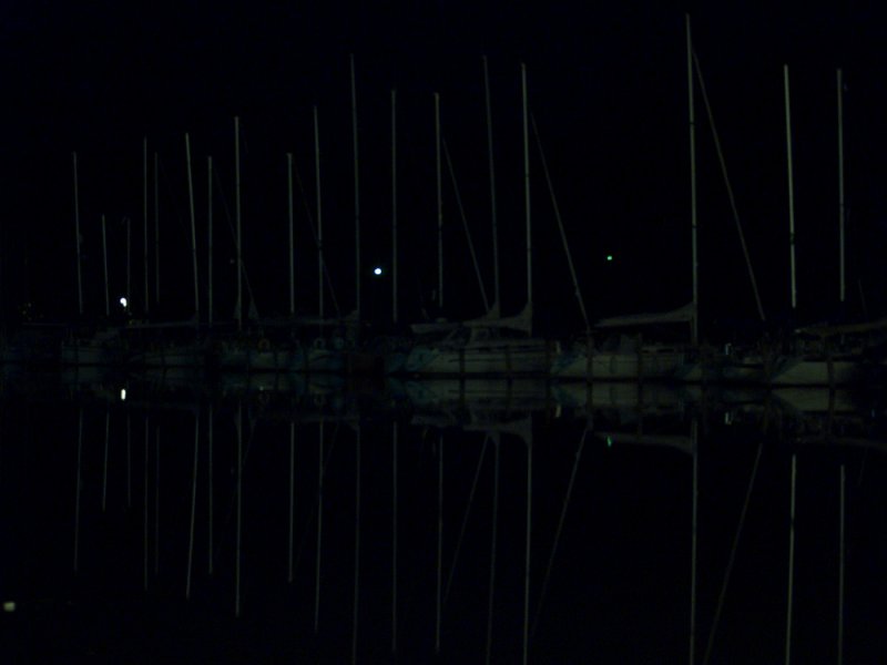 P9033132.jpg