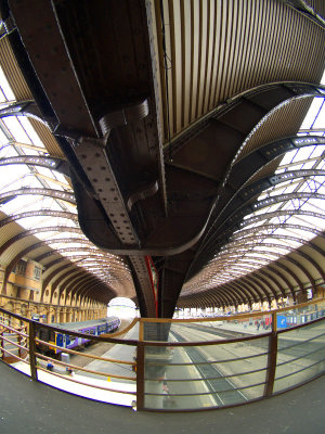 P8042400.jpg