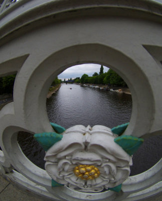 P8042409.jpg