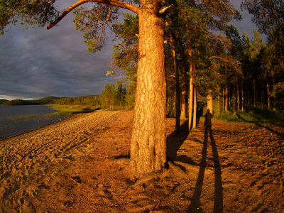 P8202954.jpg