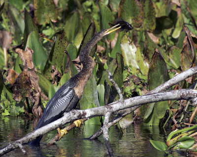 Wakulla Springs State Park