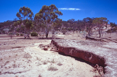 Dry creek bed