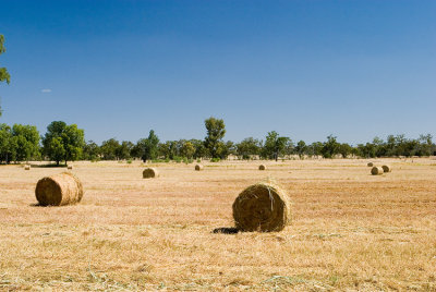 Roma Hay bales