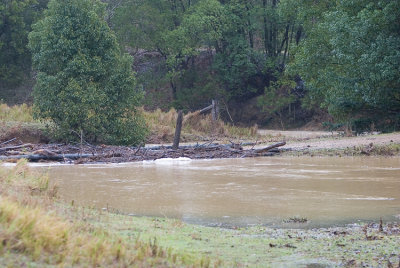 August Flooding