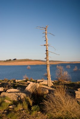 Old Adaminaby