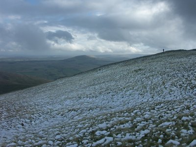 Scales Fell