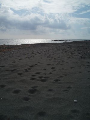 Black Beach