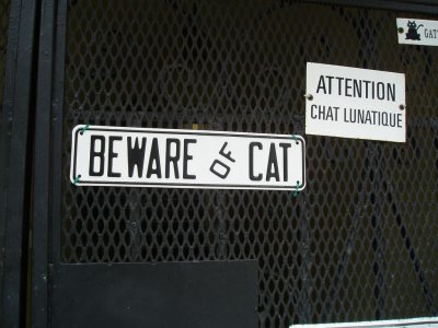Beware of Cat!