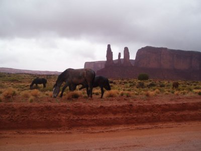 Horses and Three Sisters