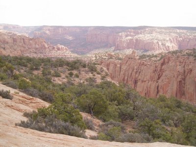 Navajo National Monument, AZ