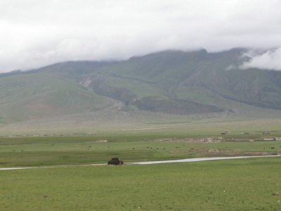 Grassland on the Plateau