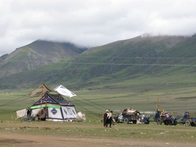 Shepherds in the County coming here with Motorbikes