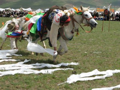 Horse Racing Festival in the Dangxiong County