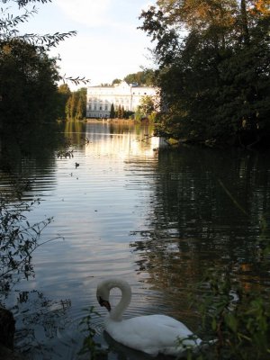 Swan At Castle Leopoldskron