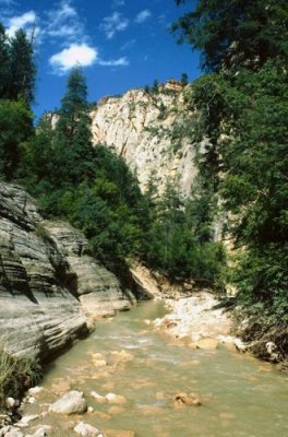 Upper Course of Virgin River, Zion