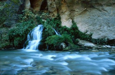 Waterfall Cascading into Virgin River, Zion