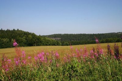 Flowers, Fields and Forest, Teplice