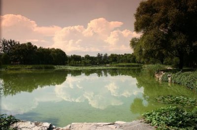 Lake Reflections, Beijing