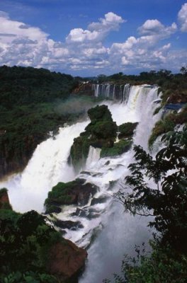 Iguazu Falls and Rainforests