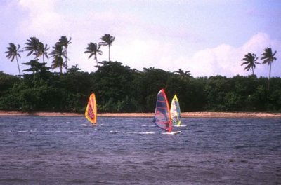 Windsurfers in Tahiti