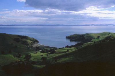 Coastline at Coromandel Peninsula