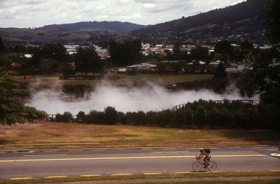 Steam rising in Rotorua