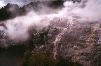 Pohutu Geyser in Rotorua