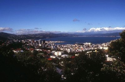 Wellington seen from Brookyln