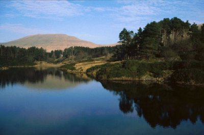 Lake and Woods, Brecon Beacons