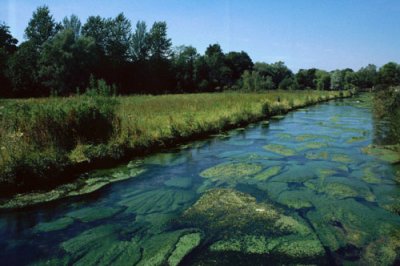 River Coln in Bibury, Gloucestershire