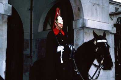 Horseguard at Downing Street, London