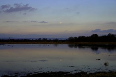 Full Moon over the Wetlands, Somerset