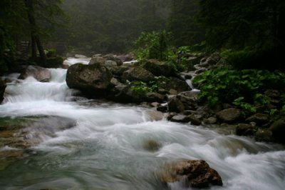 Raging river in the Vysoke Tatry