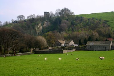Lambs in Castleton, Derbyshire