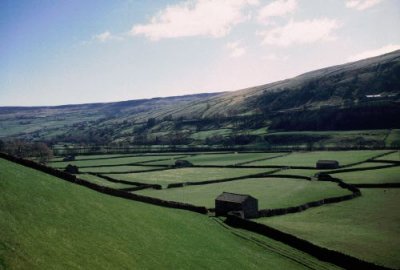 Swaledale in Spring time