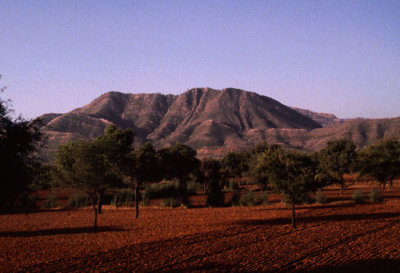 Farmland in Rajasthan
