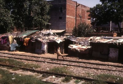 Shanty Dwellings in Delhi