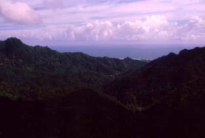 View North from Te Rua Manga