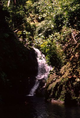 Wigmore Waterfall