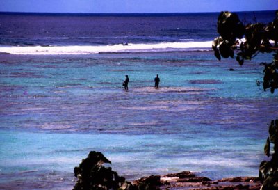 Fishermen by the Reef