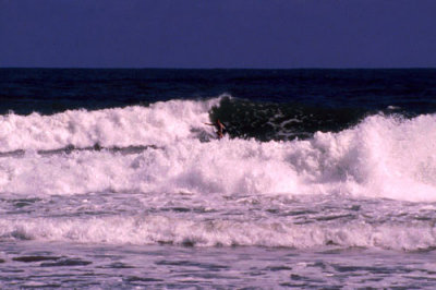 Surfer riding big wave, Sigatoka